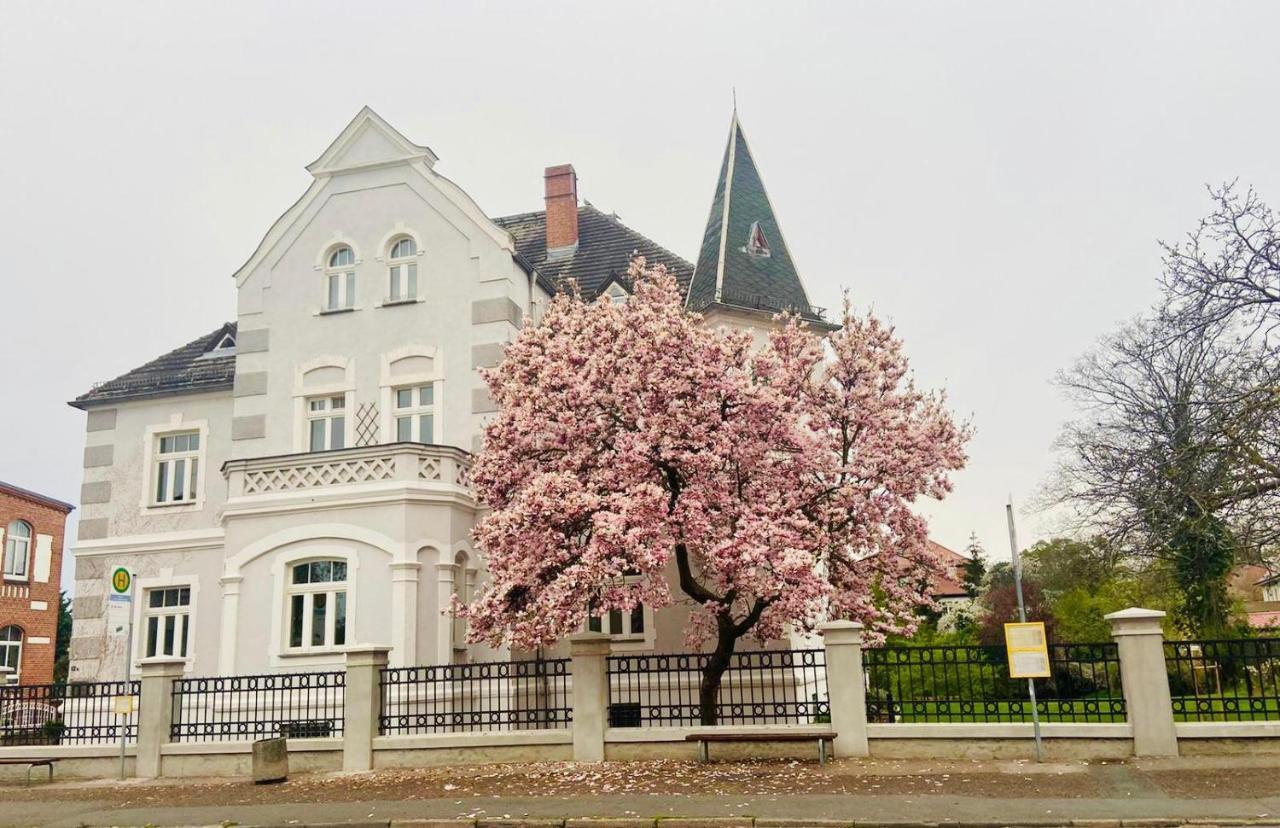 Boutique Appartement Torgau Esterno foto