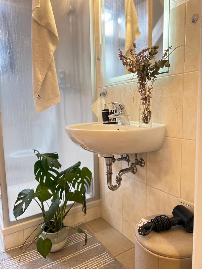 Boutique Appartement Torgau Esterno foto